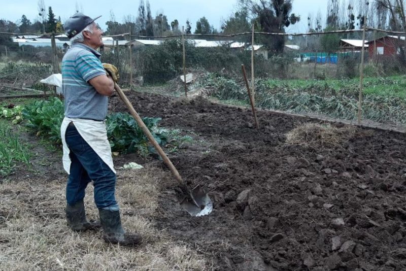 Estudian nuevas medidas para agricultores afectados por la sequía