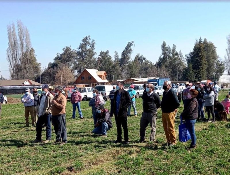 Prodesal Machalí realizó su tradicional día de campo