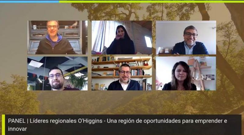 Organizaciones de emprendimiento e innovación realizan seminario de Aceleración del Ecosistema en la Región de O’Higgins