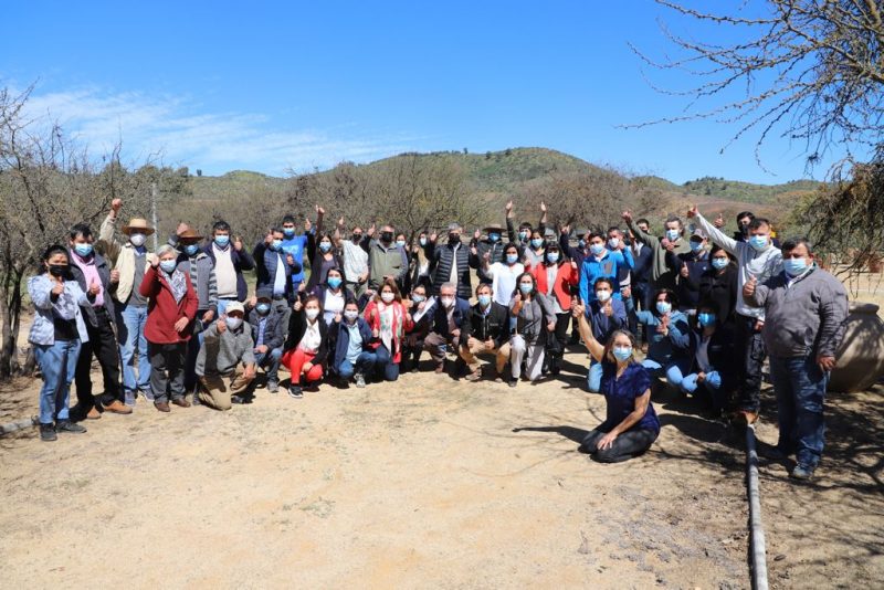 Comenzó ejecución de Proyecto FIC que busca agregar valor a producción de legumbres en O’Higgins