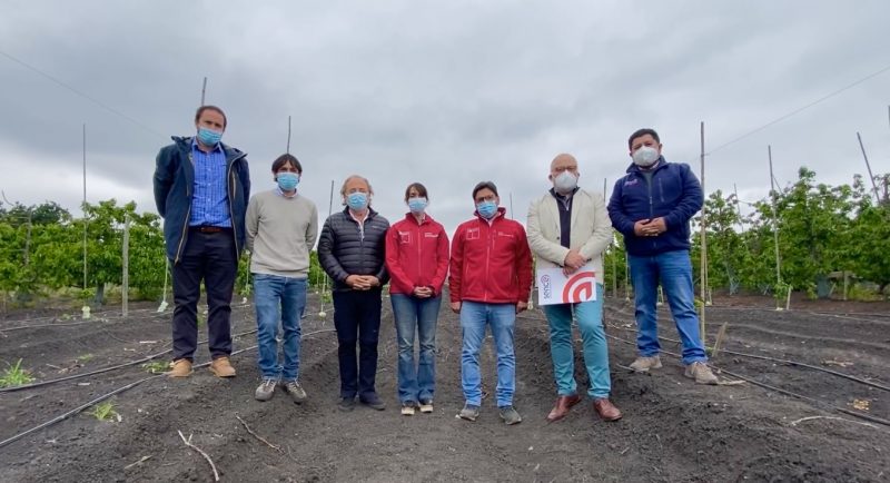 Lanzan campaña “Súmate al Agro” para impulsar puestos de trabajo en el sector agrícola