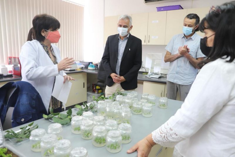 Gobierno de O’Higgins abre concurso para conformar Comité Regional de Ciencia, Tecnología e Innovación para el Desarrollo