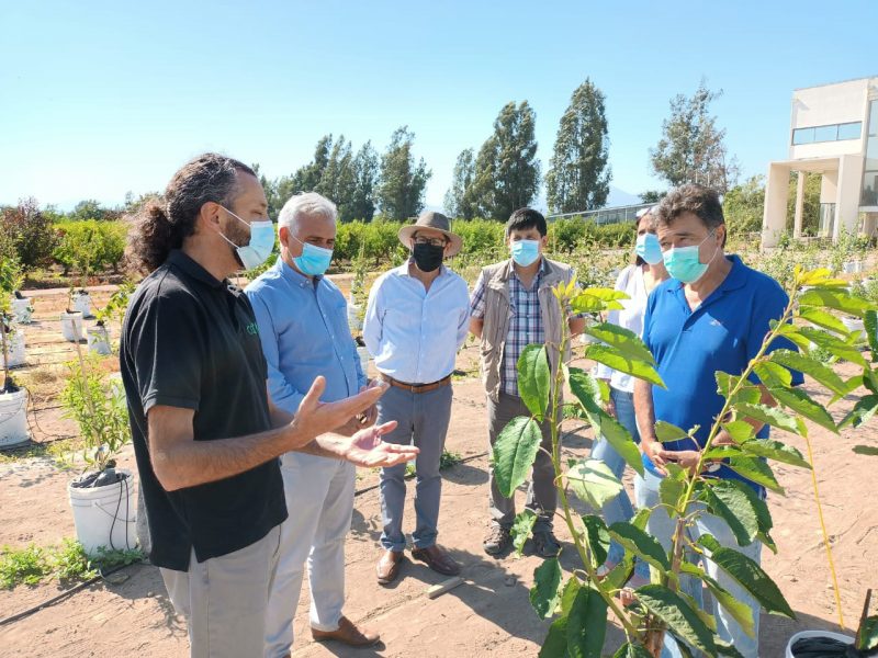 Gobernador Regional acuerda con futuro Ministro de Agricultura un trabajo colaborativo para apoyar a pequeña agricultura campesina en visita al CEAF de Rengo