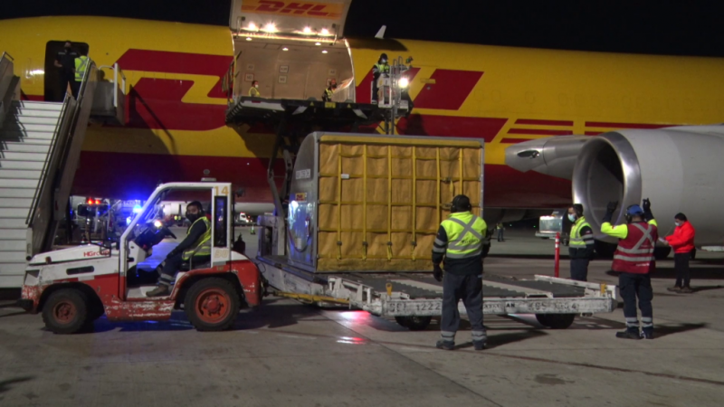 Más de 308 mil nuevas vacunas llegaron hoy al país