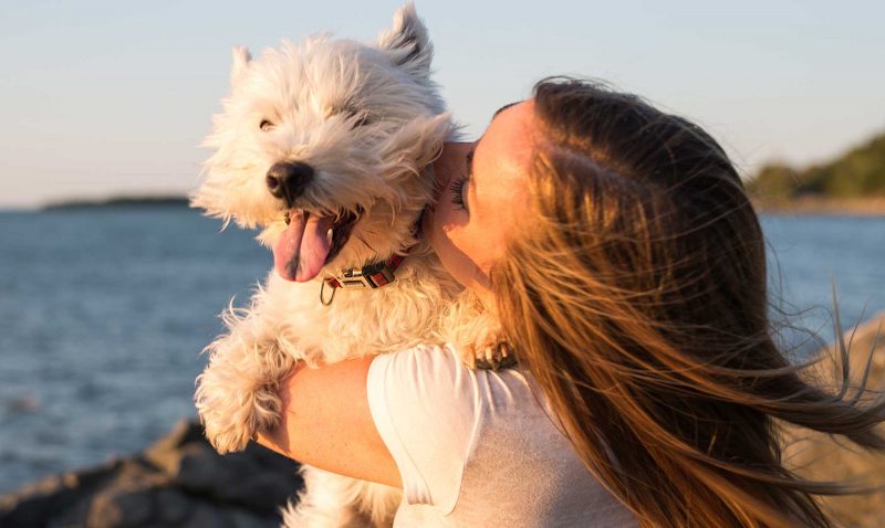Un 45% de las personas de la región viajan con sus mascotas en vacaciones
