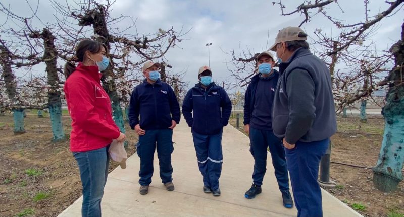 Desempleo en la Región de O’Higgins baja a un 7,7%
