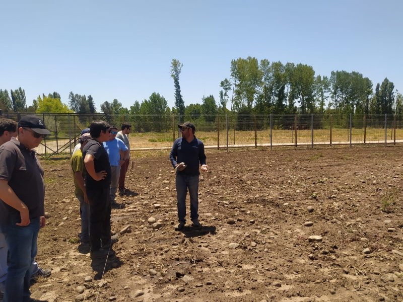 Buscan potenciar el desarrollo de la agricultura de alto valor para el secano interior de la región