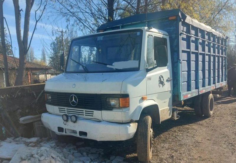 Camiones robados en el Maule fueron encontrados en Pumanque por la PDI