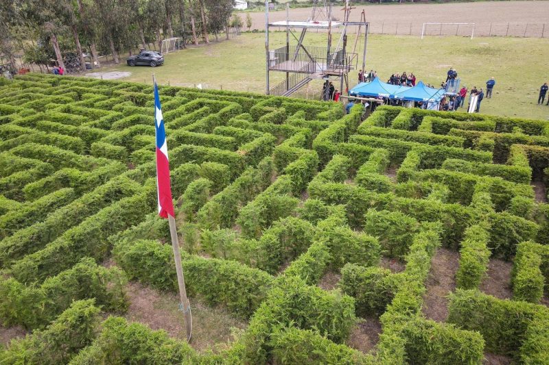 Cinco mil pinos cipres forman laberinto en colegio de San Fernando