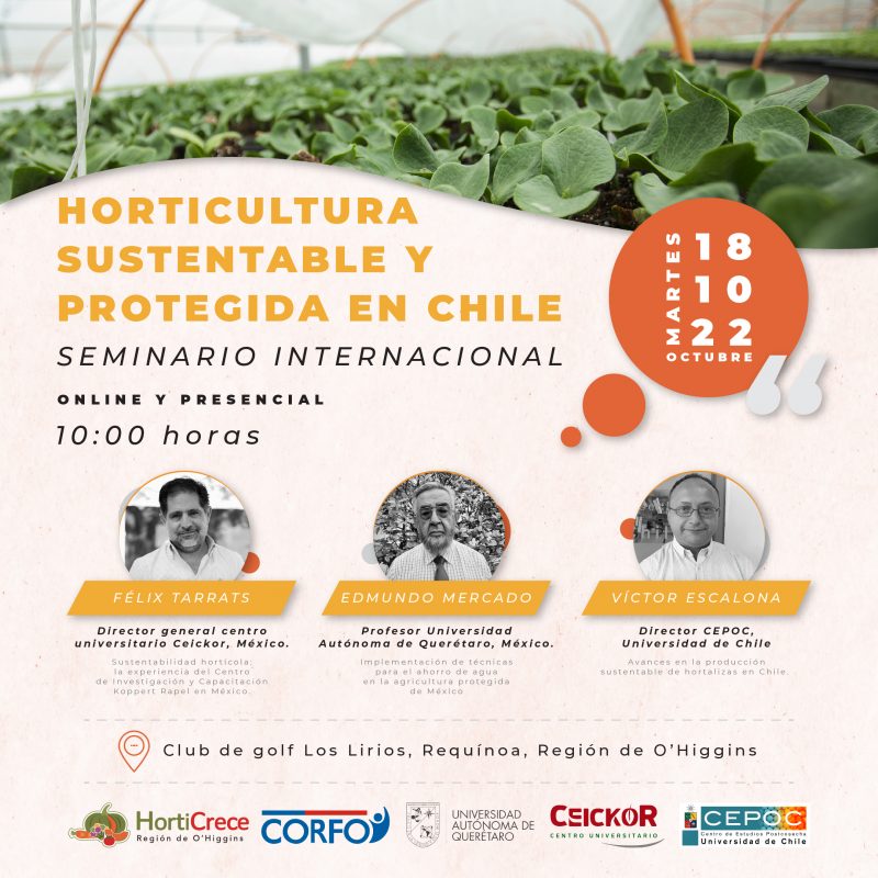 Expertos de Chile y México abordarán la agricultura protegida en seminario internacional de O’Higgins HortiCrece