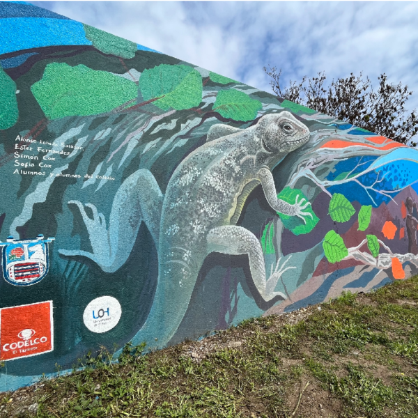 Inauguran mural sobre fauna nativa en Colegio de Doñihue