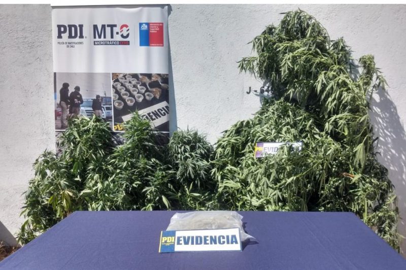 Mujer fue detenida por tráfico en San Fernando