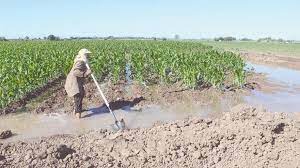 INDAP convoca a agricultores a postular a concursos de riego