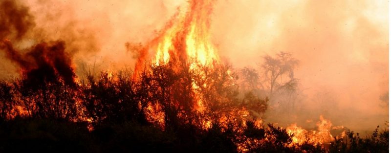 Seremi de Salud ante ola de calor por incendios: “Lo primero es cuidar la salud de las personas”