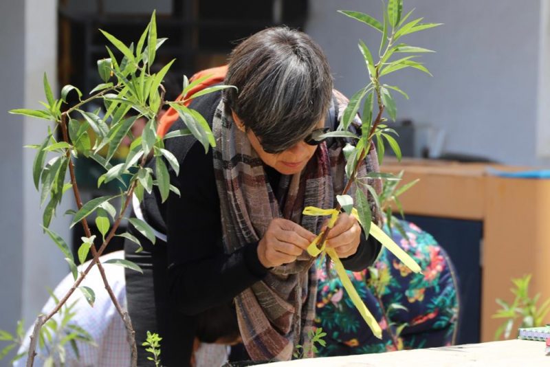 Agricultores de Nancagua se capacitaron en técnicas de injertación en CEAF