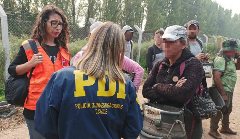 Fiscalizan extranjeros en labores agrícolas en Chépica