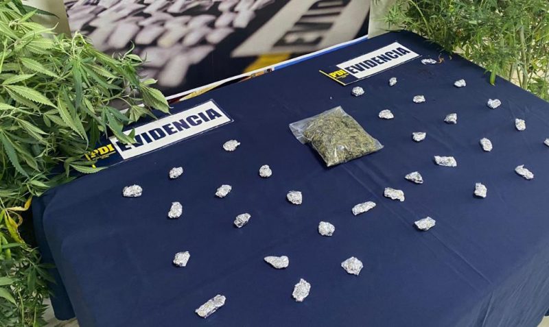 PDI INCAUTÓ CANNABIS DESDE DEPARTAMENTO UBICADO FRENTE A COLEGIO EN SAN FERNANDO