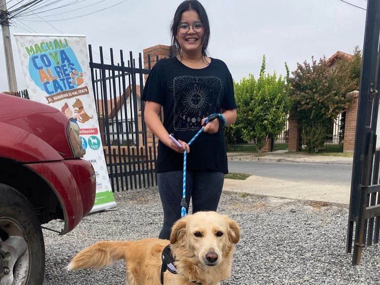 Veterinaria municipal realiza operativo de vacunación e implantación de microchip