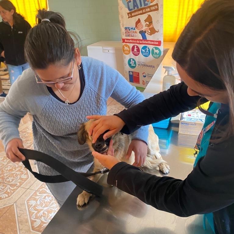 En Villa Calicanto se realizó operativo veterinario municipal