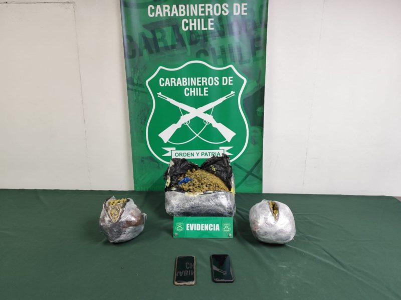 Carabineros del OS-7 Rancagua: “Gazam” detecta a dos personas que trasladaban más de 6 kilos de marihuana elaborada con destino al sur*