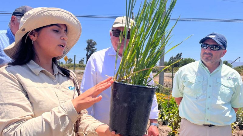 Control biológico de plagas: la apuesta por la sostenibilidad en la región de O’Higgins