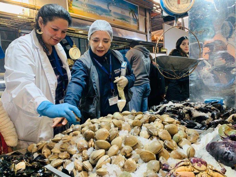 Más de 100 kilos de pescado y mariscos han sido decomisados por la Seremi de Salud O´Higgins durante fiscalizaciones por Semana Santa