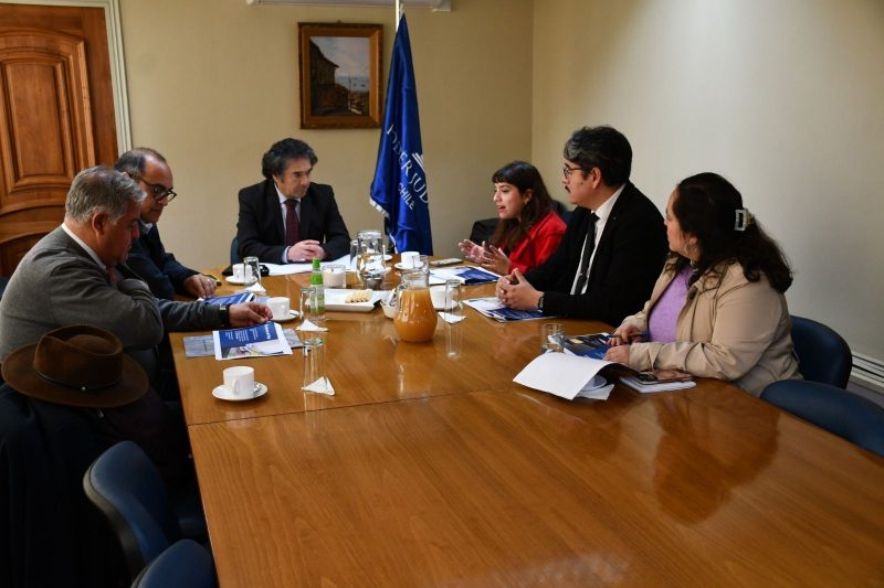 Juzgados de Familia de la jurisdicción de Rancagua han ordenado el pago de $102 mil millones por deudas de pensiones de alimentos en dos años de implementación de la Ley 21.484