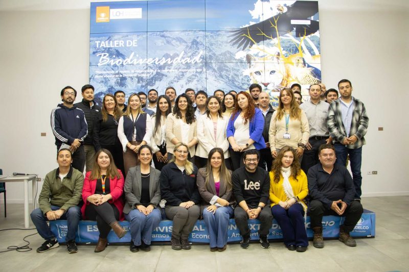 El Teniente actualiza plan de manejo de fauna en Carretera El Cobre El Teniente actualiza plan de manejo de fauna en Carretera El Cobre