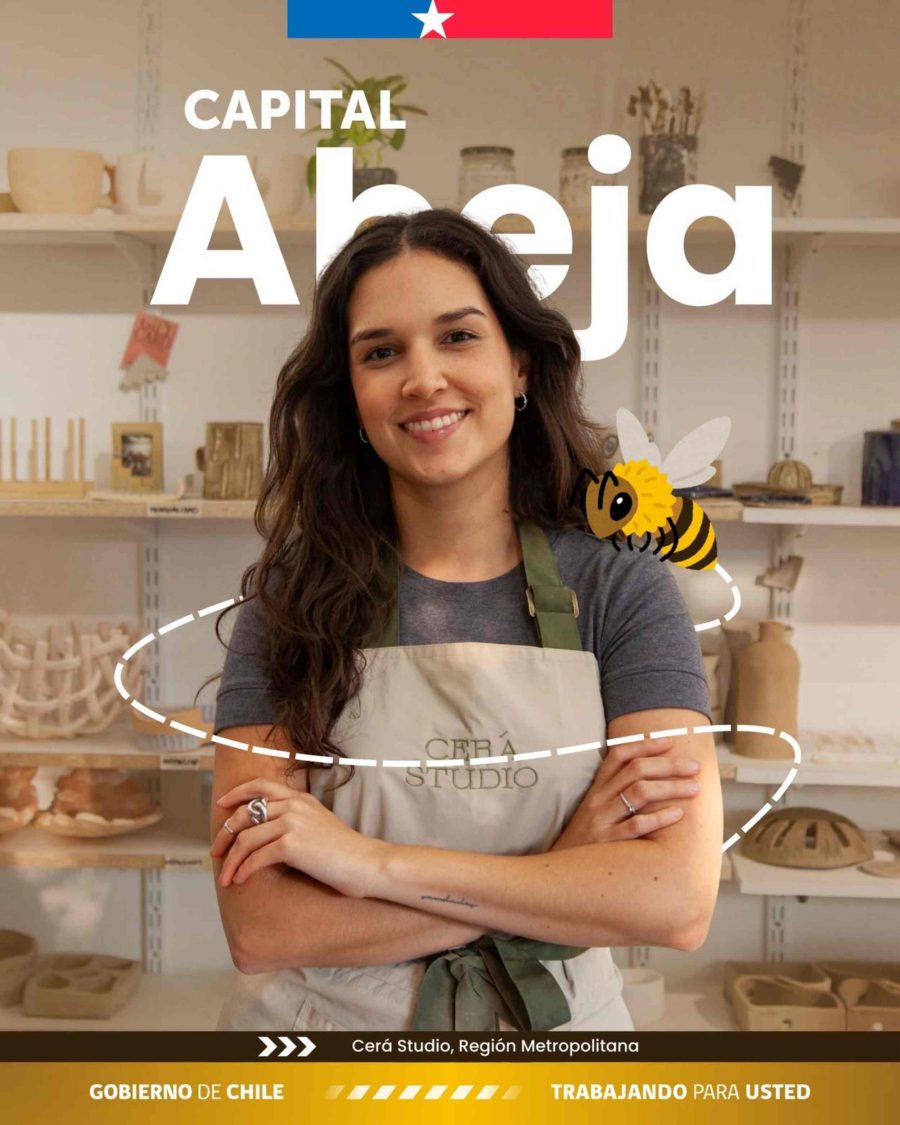 Sercotec anuncia apertura de convocatoria del fondo Capital Abeja para impulsar el emprendimiento femenino